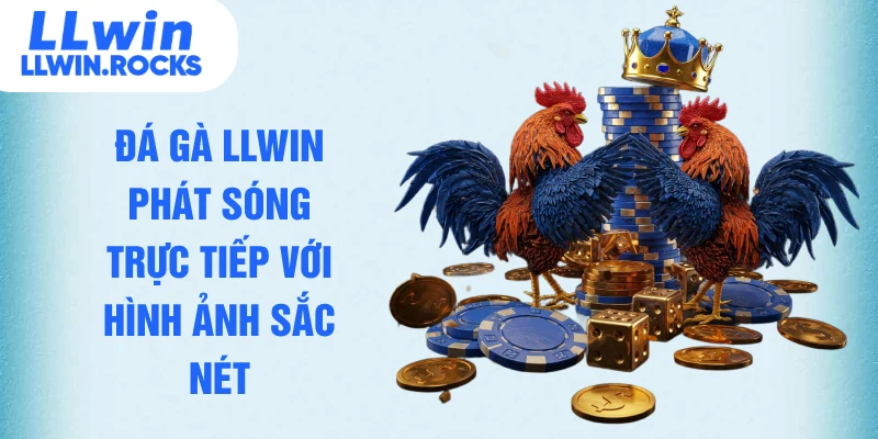 Đá Gà LLWIN – Tổng Hợp Những Trận Thư Hùng Đỉnh Cao Thế Giới - xo79