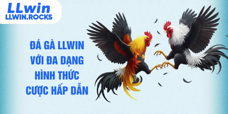 Đá Gà LLWIN – Tổng Hợp Những Trận Thư Hùng Đỉnh Cao Thế Giới - xo79