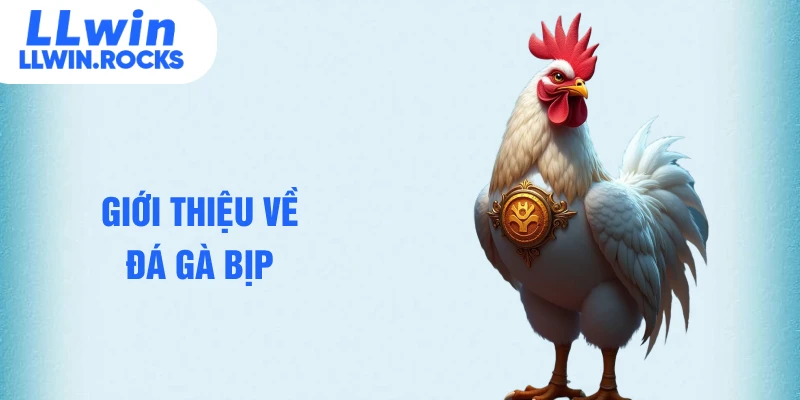 Đá Gà Bịp Là Gì - Cách Nhận Biết Chuẩn Cho Tân Binh - xo79
