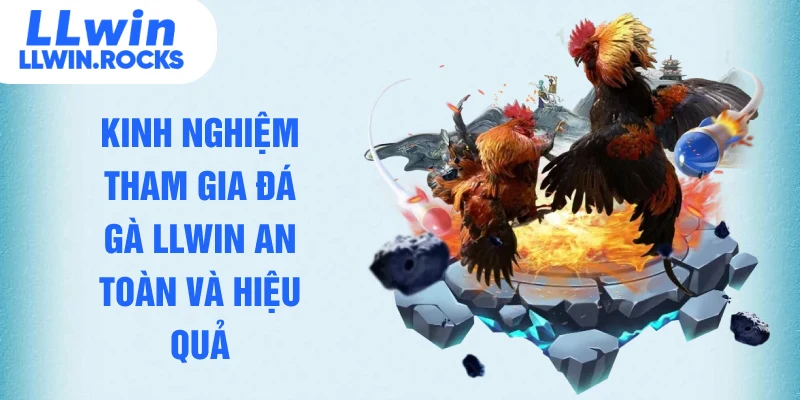 Đá Gà LLWIN – Tổng Hợp Những Trận Thư Hùng Đỉnh Cao Thế Giới - xo79