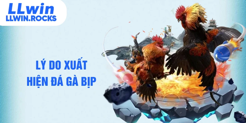 Đá Gà Bịp Là Gì - Cách Nhận Biết Chuẩn Cho Tân Binh - xo79