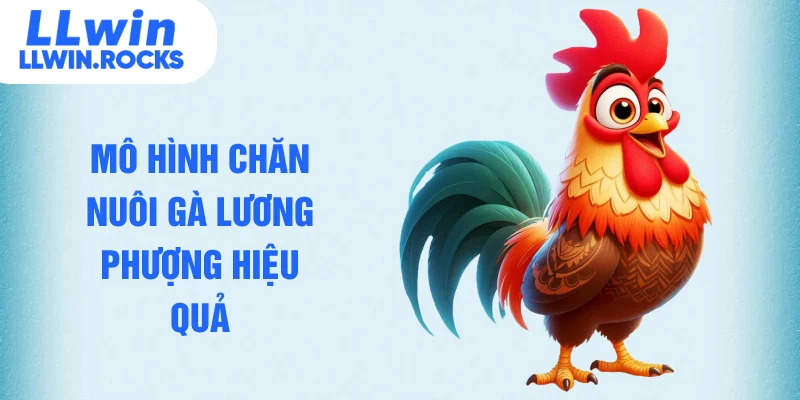 Gà Lương Phượng – Giống Gà Tiềm Năng Mang Lại Lợi Ích Lớn - xo79