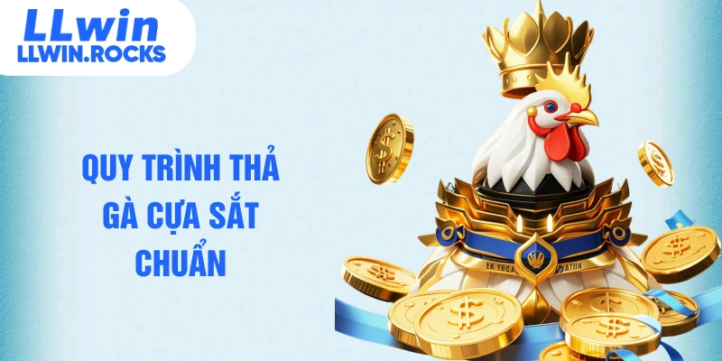Cách Thả Gà Đá Cựa Sắt Giúp Chiến Kê Làm Chủ Thế Trận - xo79