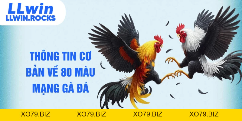 80 Màu Mạng Gà Đá - Bí Quyết Nhận Diện Chiến Kê Bất Bại - xo79