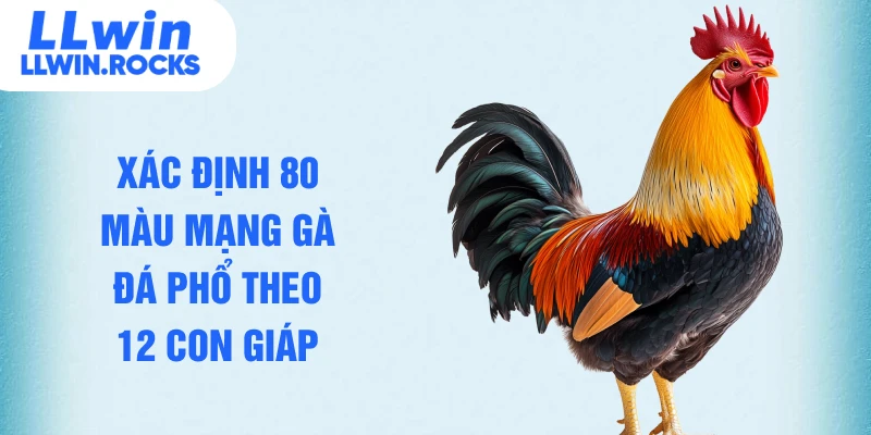 80 Màu Mạng Gà Đá - Bí Quyết Nhận Diện Chiến Kê Bất Bại - xo79